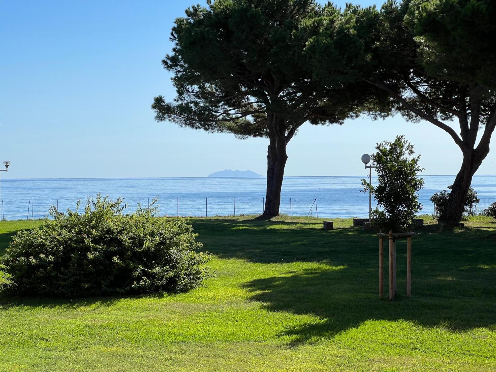 Appartement N 216 Moriani Plage ซองตา-ลูเซีย-ดิ-มอเรียนิ ภายนอก รูปภาพ