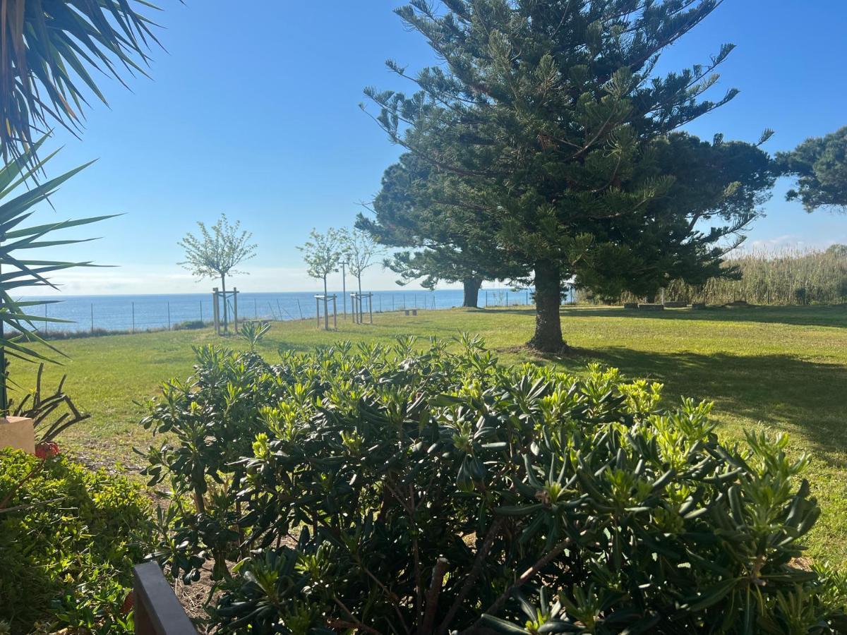 Appartement N 216 Moriani Plage ซองตา-ลูเซีย-ดิ-มอเรียนิ ภายนอก รูปภาพ